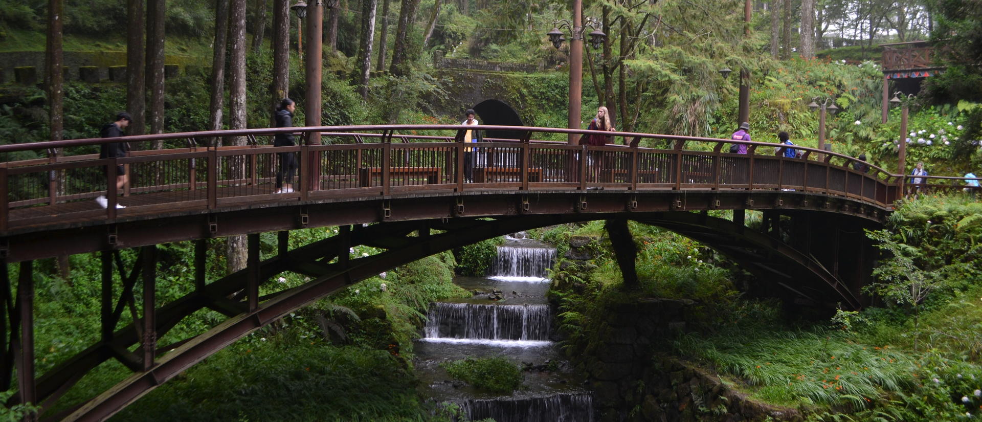 People walking across a wooden bridge over a small cascading stream surrounded by lush green forest.