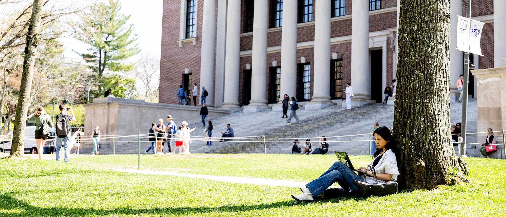 A student sits under a tree in front of Widener library.