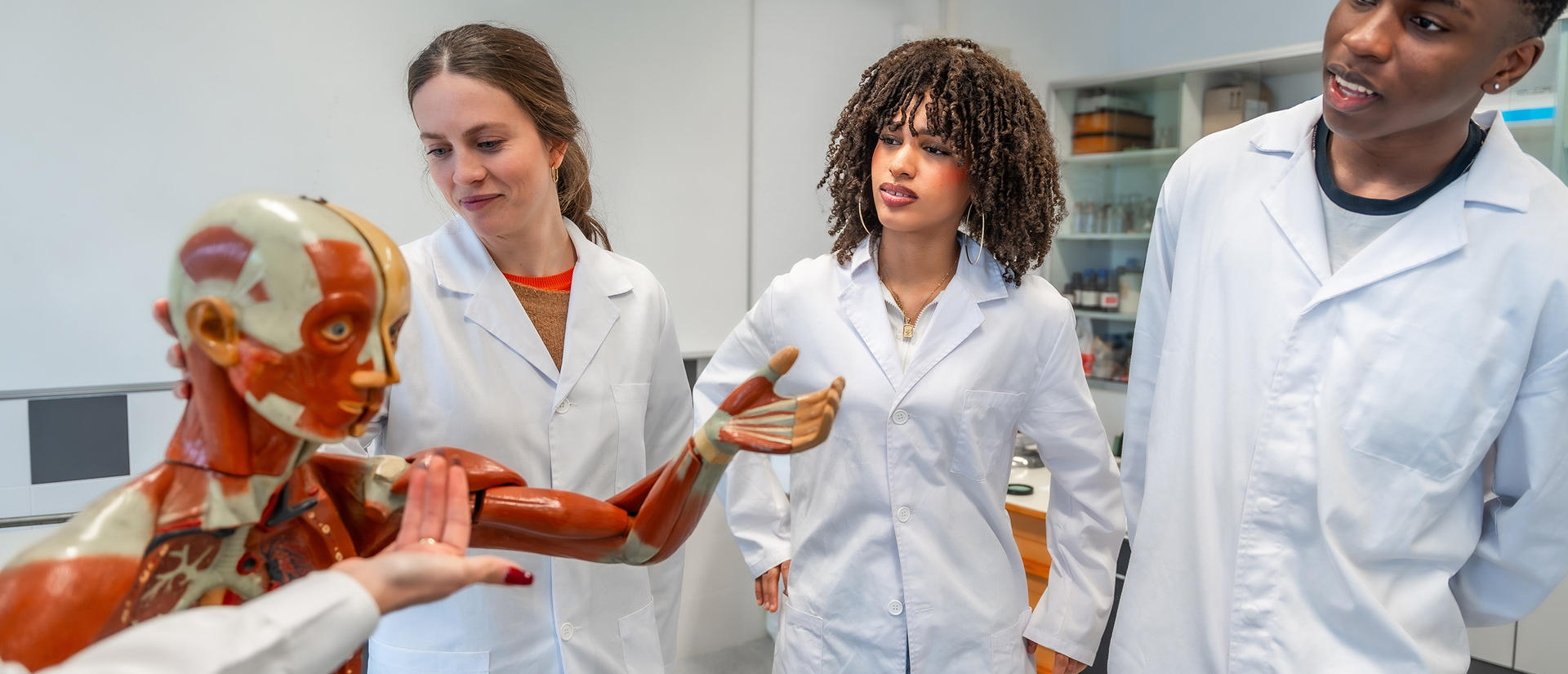 Students in lab coats study a human anatomy model in a classroom.